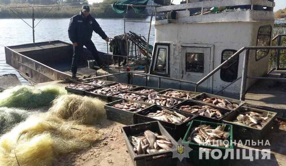 На Полтавщині браконьєри наловили риби на 1 млн грн