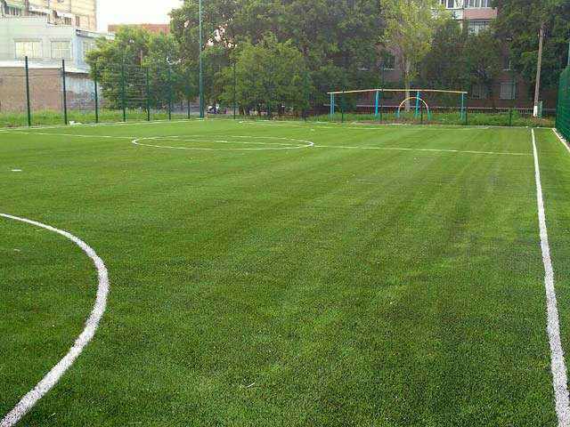 Керівник спортшколи на Полтавщині двічі купив те саме покриття для футбольного поля