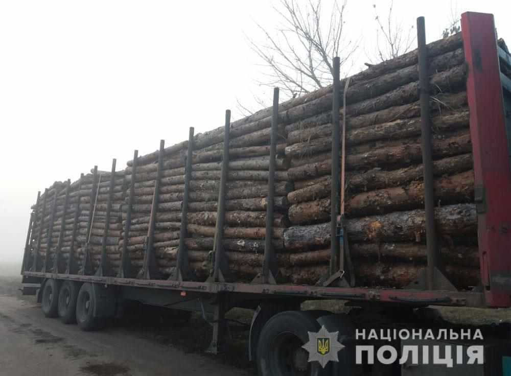 На Полтавщині затримали двох водіїв, які незаконно перевозили деревину