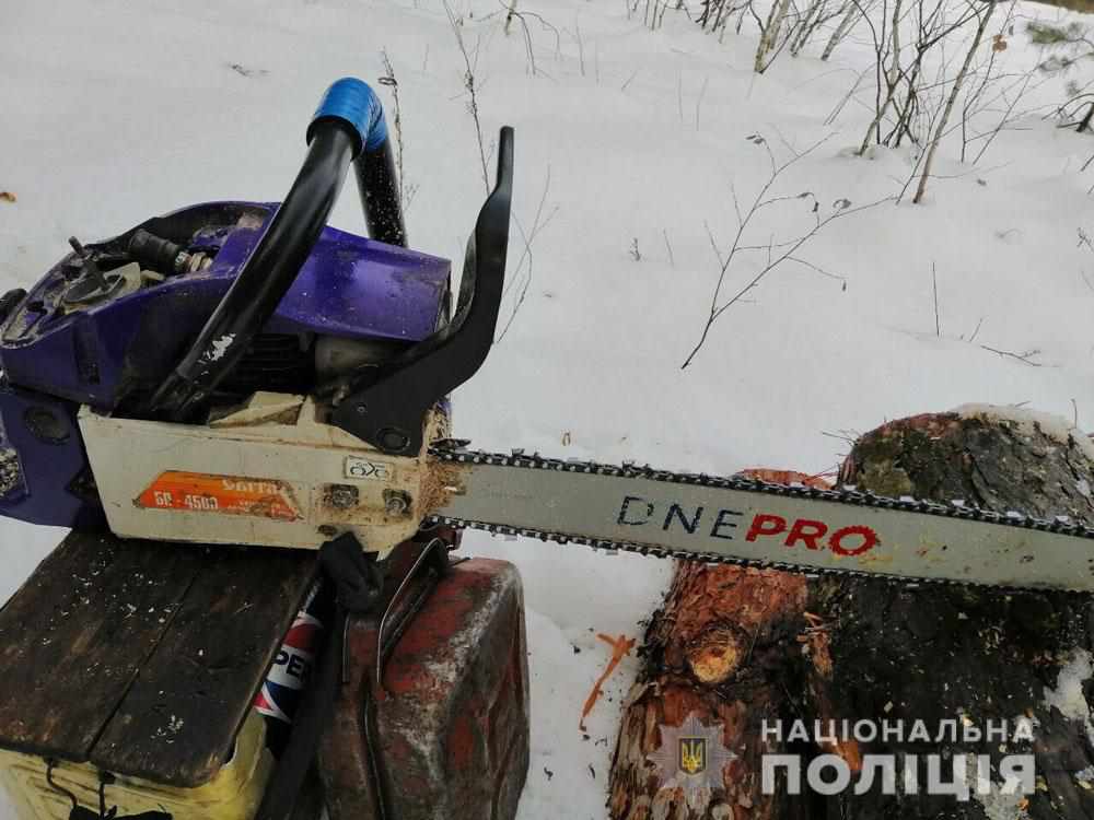На Полтавщині четверо чоловіків незаконно вирубували сосни