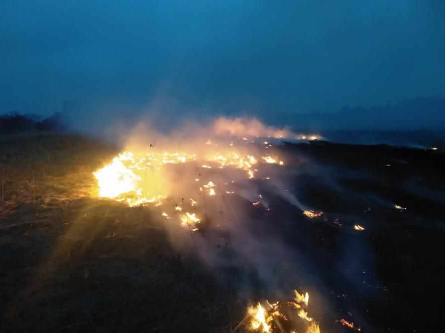Рятувальники просять полтавців не палити суху траву: ліквідували вже 4 пожежі