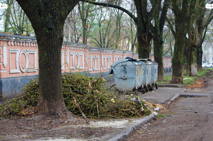 Вивезення негабаритного сміття й ремонт проваль на дорогах: полтавські комунальники здійснили черговий об’їзд міста