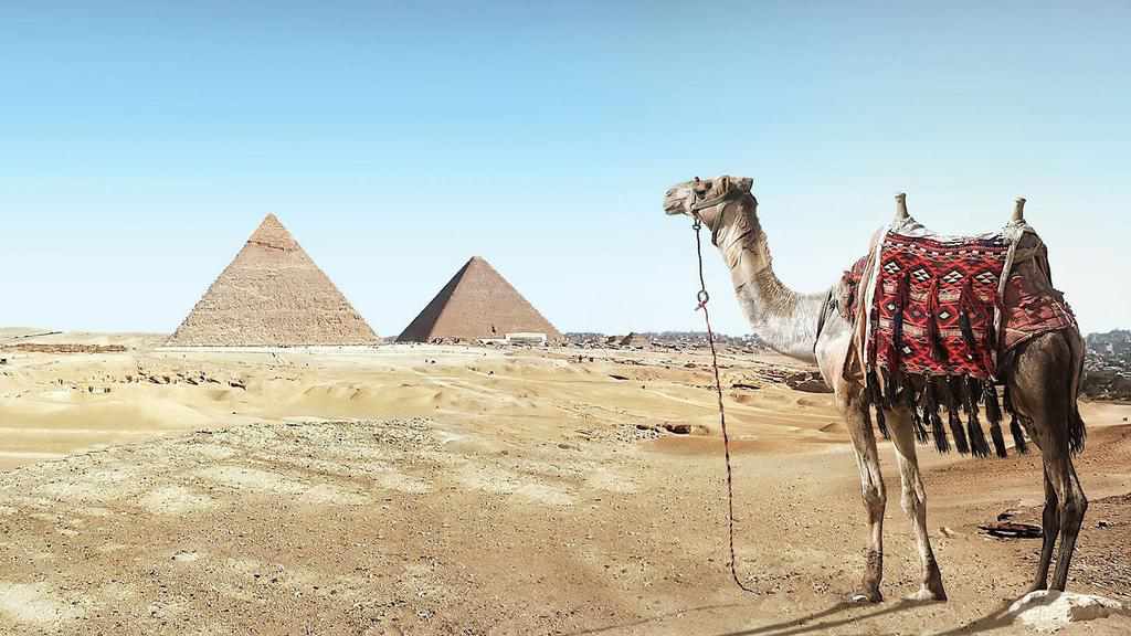 Топ-7 справ, які варто зробити в Єгипті