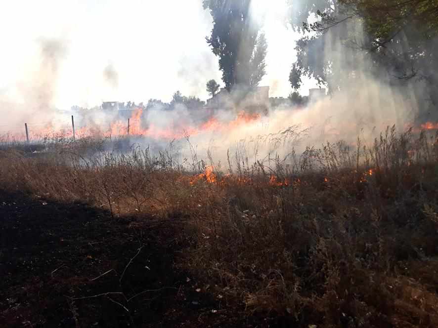 Рятувальники ліквідували чотири пожежі на відкритій території