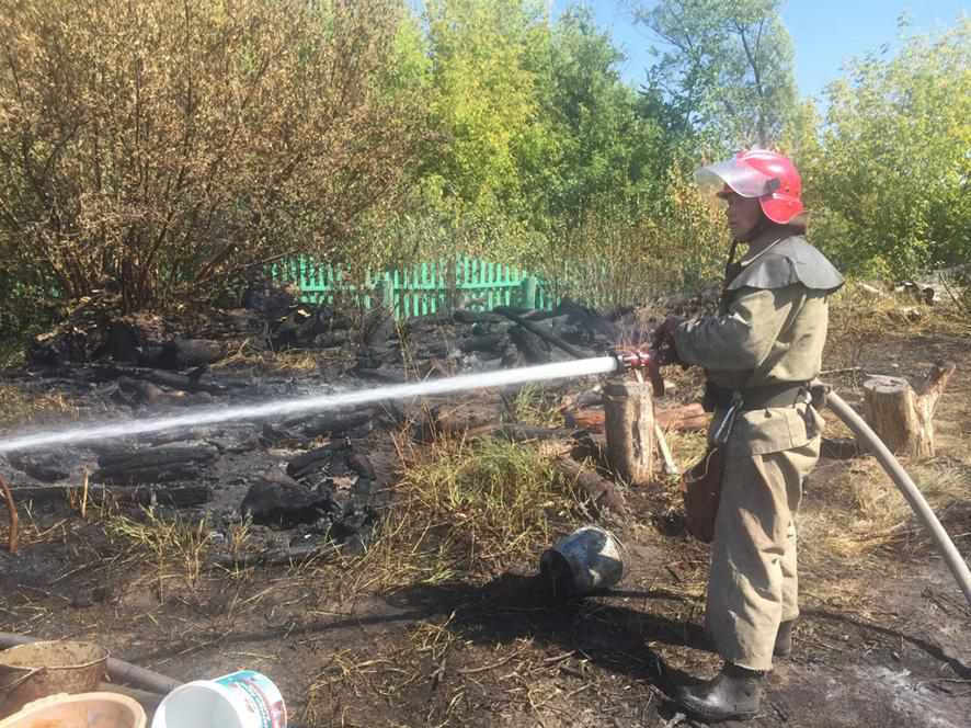 Пожежа на Полтавщині: загорілася суха трава, сарай і запасені дрова
