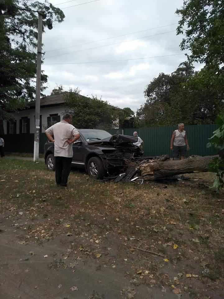На Полтавщині водій врізався в дерево