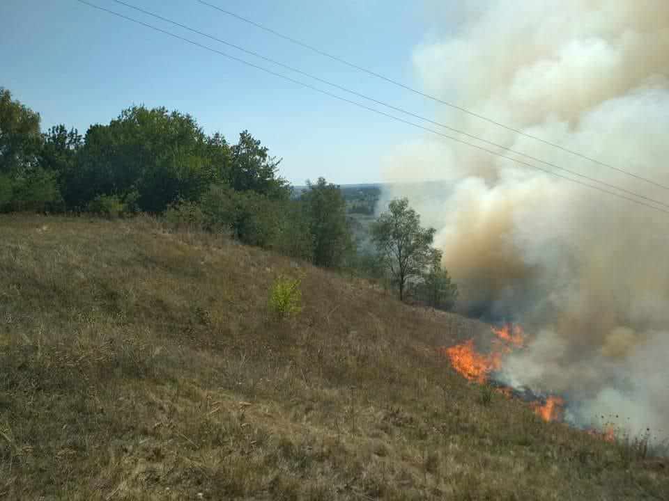 На Полтавщині горить яр: вогонь підбирається до осель та школи