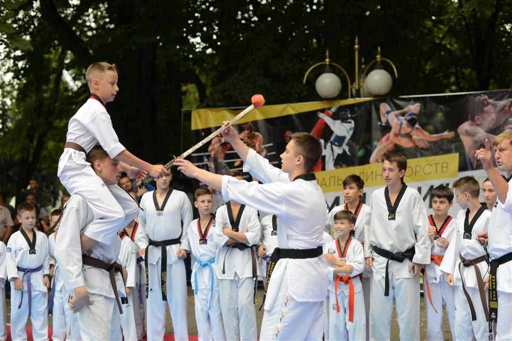 Вражаюче та видовищно: школи бойових мистецтв виступили на фестивалі «Чемпіони». ФОТО, ВІДЕО