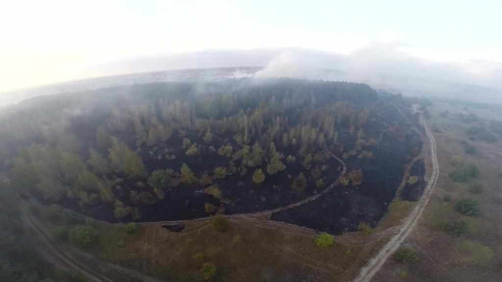 На Полтавщині горіло 200 гектарів лісу