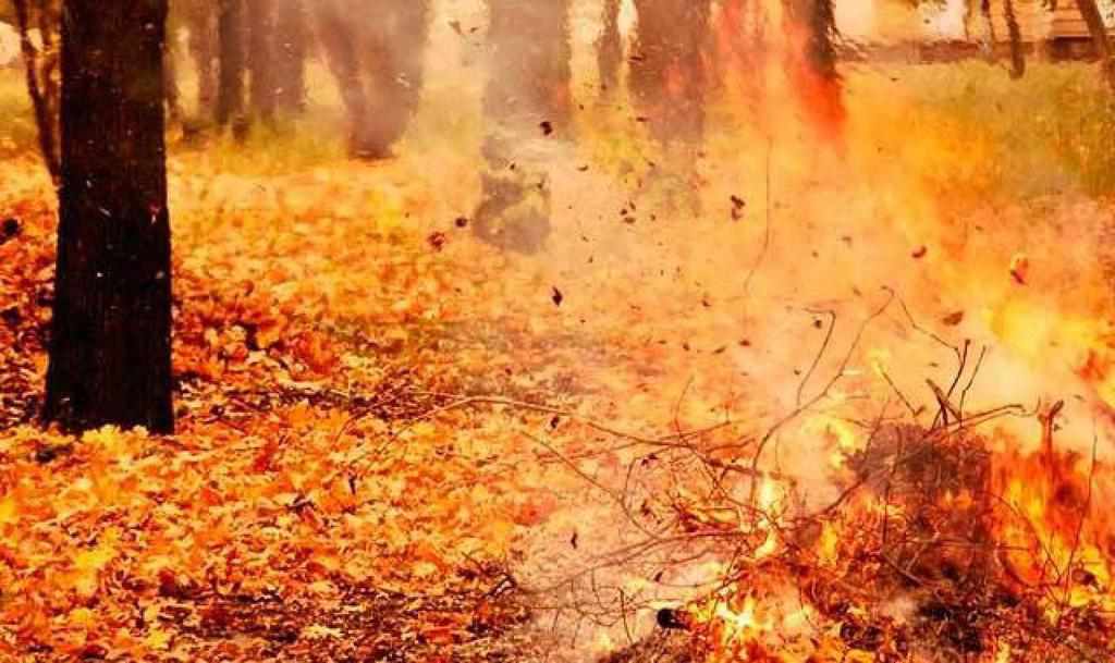 На Полтавщині чоловік, спалюючи траву, отримав опіки, від яких помер