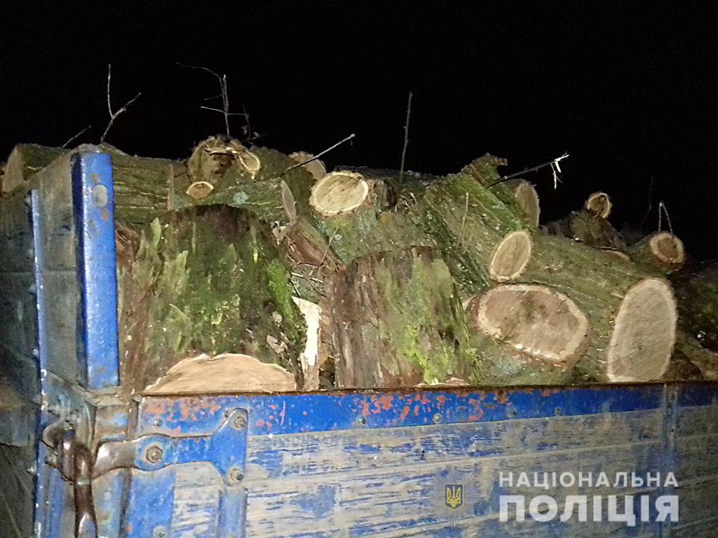 На Полтавщині затримали авто, в якому перевозили вкрадений дуб