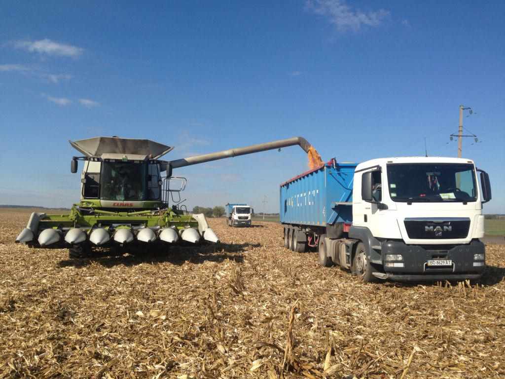 Україна встановила історичний рекорд зі збору врожаю зернових