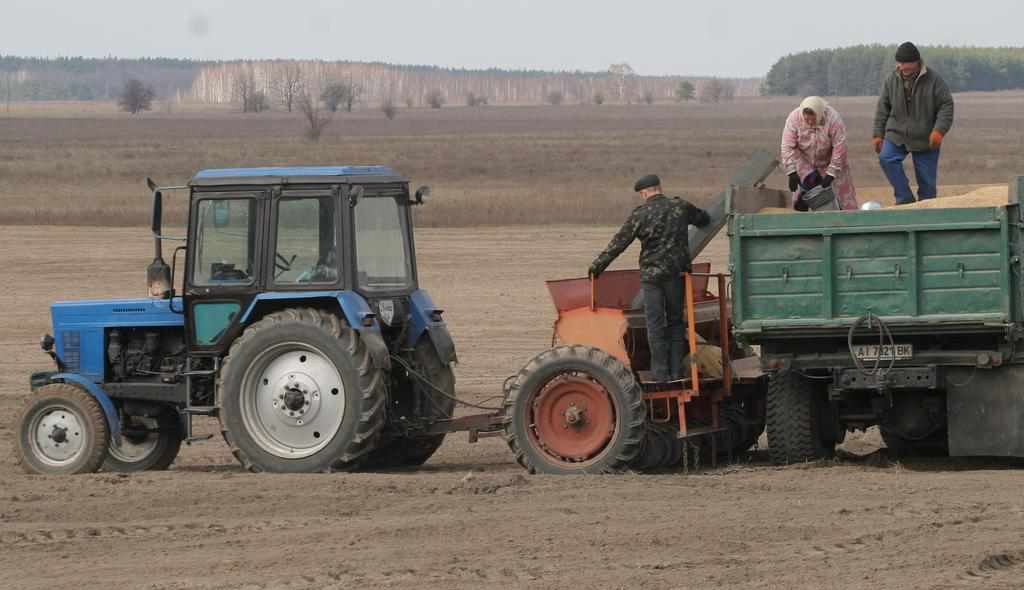 У Полтавській області за оренду земельних паїв власники отримають 2,29 мільярда гривень