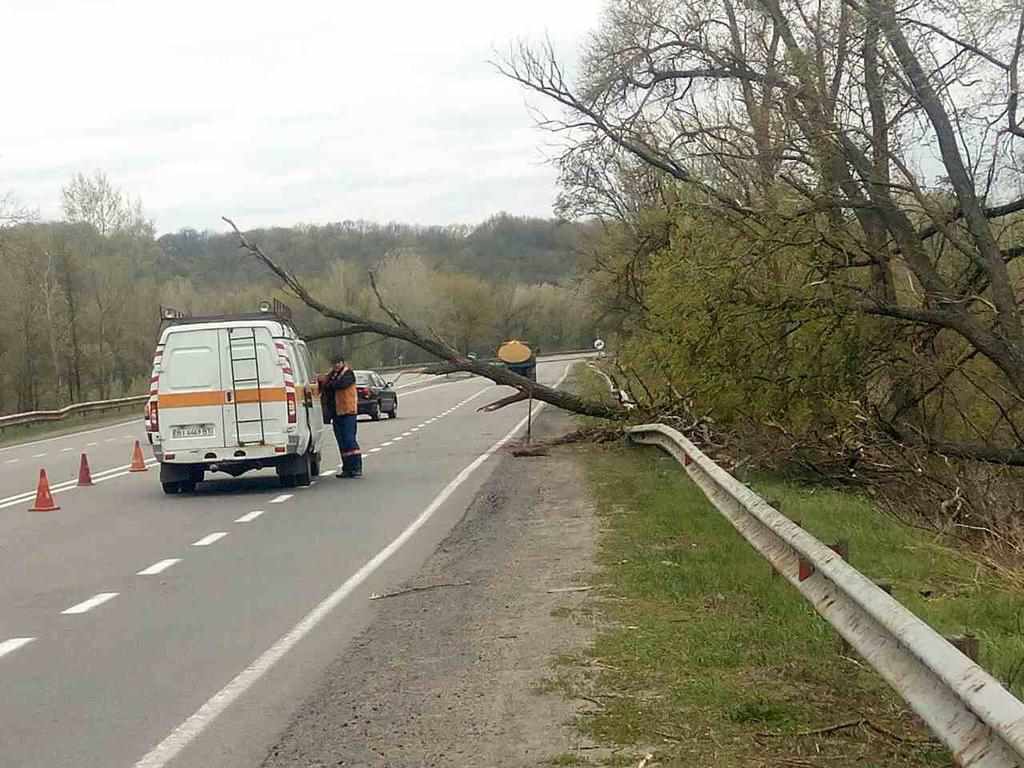 Дорожники оновлюють дорожні знаки та прибирають повалені дерева