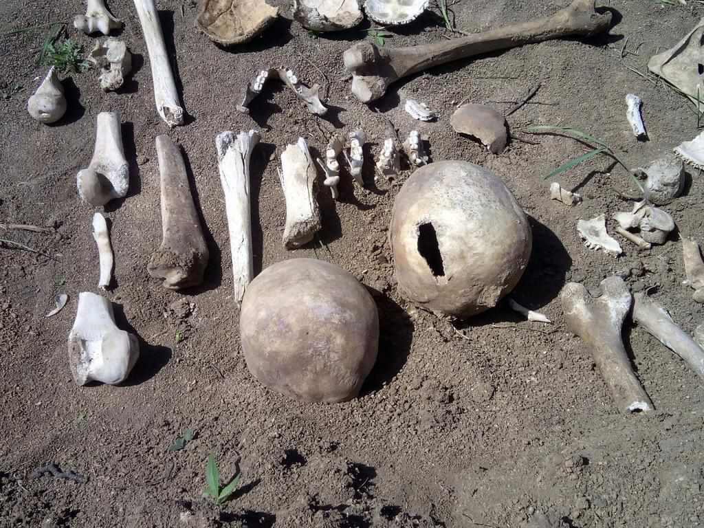 Будівництво на кістках у Полтаві: нове про знайдені людські рештки