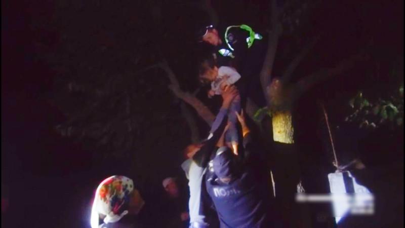 На Полтавщині зниклу семирічну дівчинку знайшли на дереві