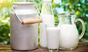 В Україні хочуть заборонити продаж «домашнього» молока – що кажуть у Полтаві