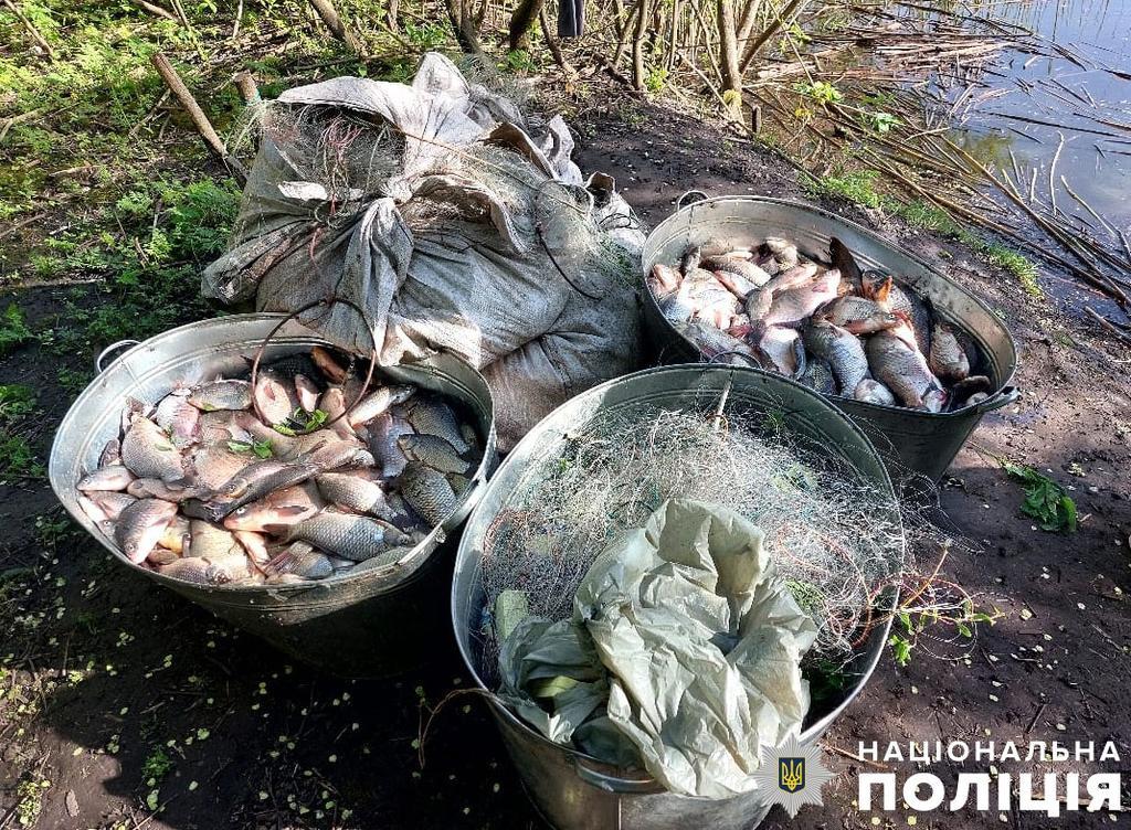 На Полтавщині браконьєри виловили риби на 2.5 млн.грн
