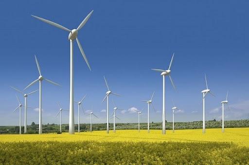 У Глобинській громаді планують звести найпотужнішу вітрову електростанцію в Україні