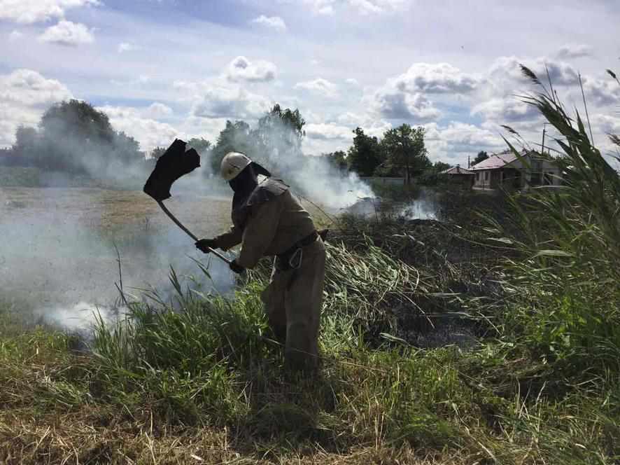 На Полтавщині за добу сталося дві пожежі на відкритій території