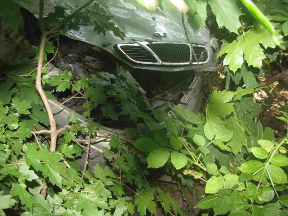  На Полтавщині автомобіль протаранив дерево: є травмовані 