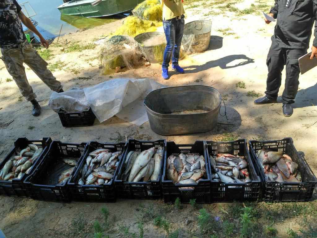 На Полтавщини чоловіки незаконно наловили риби майже на сотню тисяч гривень