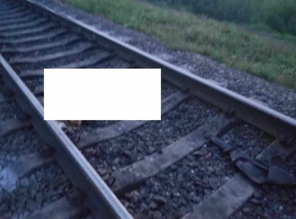 Смерть на залізниці: на Полтавщині потяг збив чоловіка