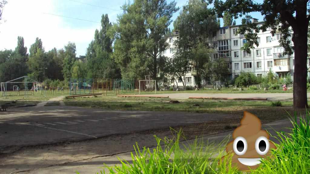 Спортивний майданчик полтавської школи  потерпає від тваринних екскрементів