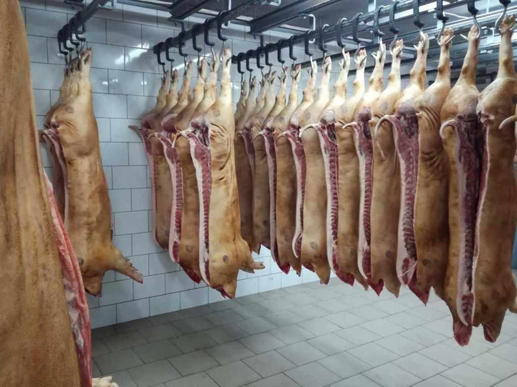 Санінспектори попереджають полтавців про хворобу, що можна підхопити через м’ясо