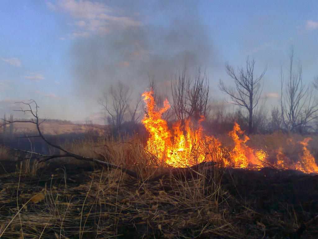 У Чернечому Яру вигоріло 4 гектари трави: за добу на Полтавщині 9 пожеж в екосистемах