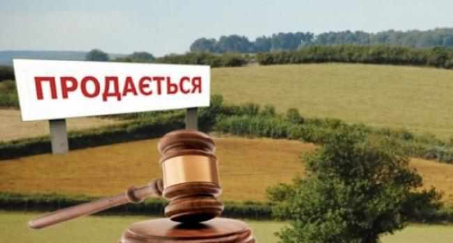 На Полтавщині «з-під молотка» продали дві земельні ділянки 