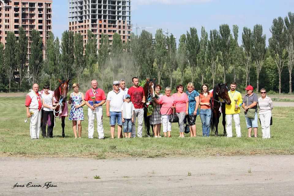 Коні з Полтавщини здобули три престижні нагороди на перегонах у столиці. ВІДЕО