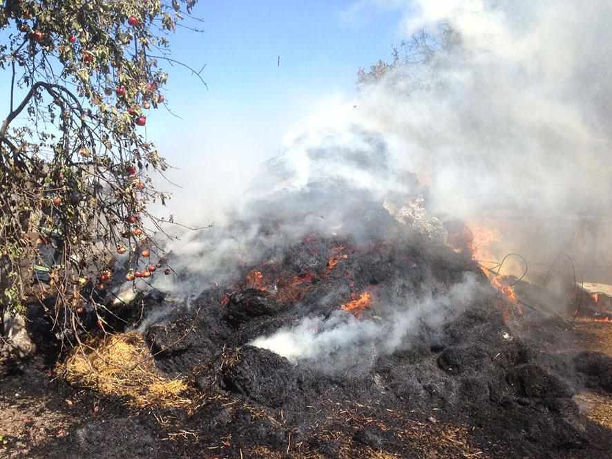 На Полтавщині через необережне поводження з вогнем невідомого в людей згоріло пְ’ять тонн соломи