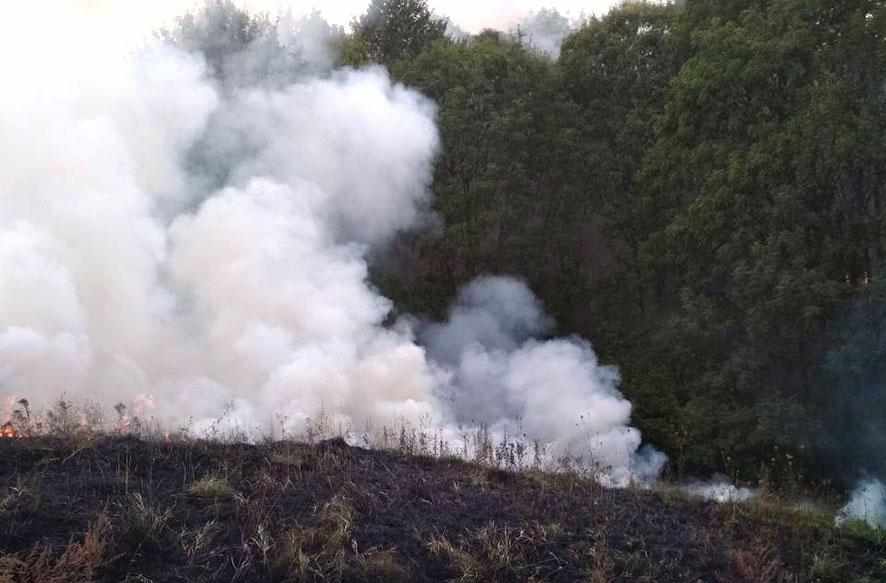 На Полтавщині жінка спалювала стерню, а згоріло поле 