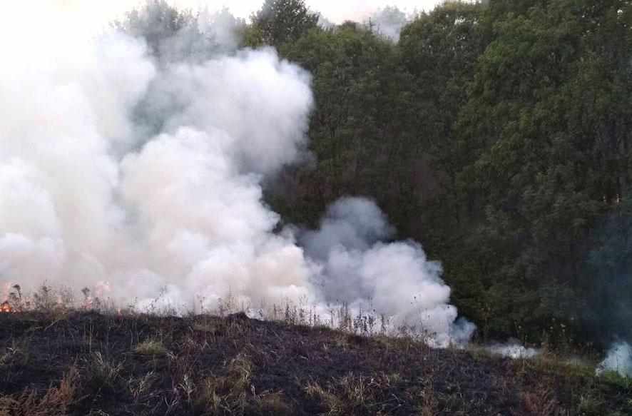 На Полтавщині жінка спалювала стерню, а згоріло поле
