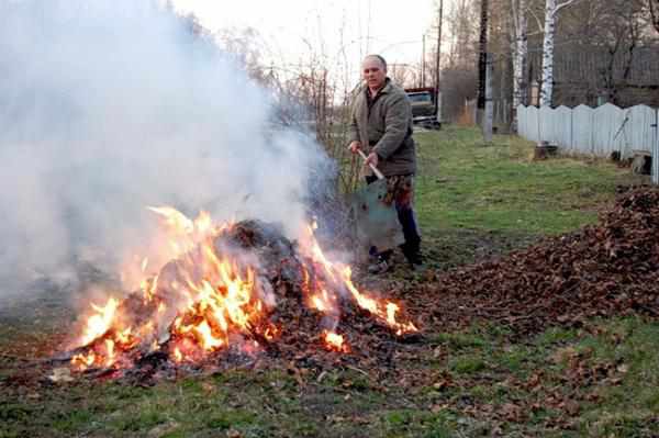 Спалювання листя – порушення закону. Викликайте поліцію 