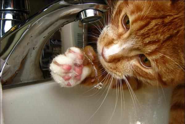 Через аварію на водогоні частина полтавців майже добу була без водопостачання