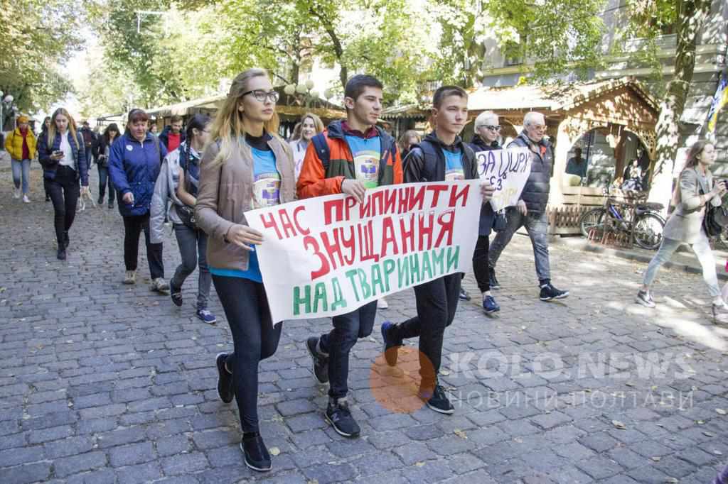 МОН пропонує провести Всеукраїнський урок доброти і фіксувати рекорд