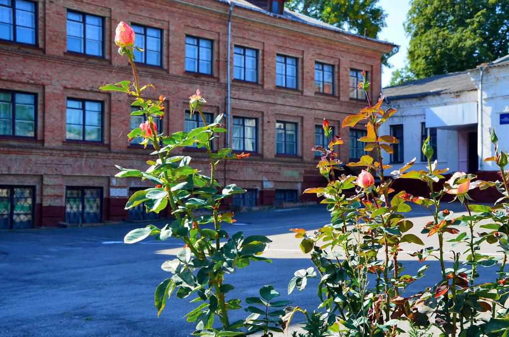 Шукають директора для полтавської школи: оголосили конкурс