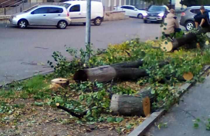 У центрі Полтави спиляли дерева: комунальники відхрещуються. ФОТО