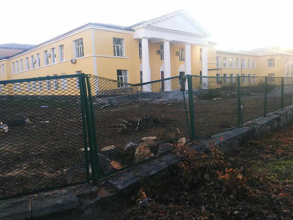 Хто і чому спиляв дерева біля полтавської лікарні: пояснення комунальників