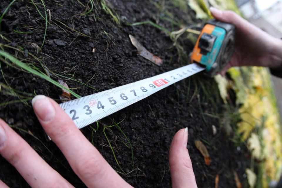 Полтавський фермер незаконно засіяв кукурудзою понад сорок гектарів