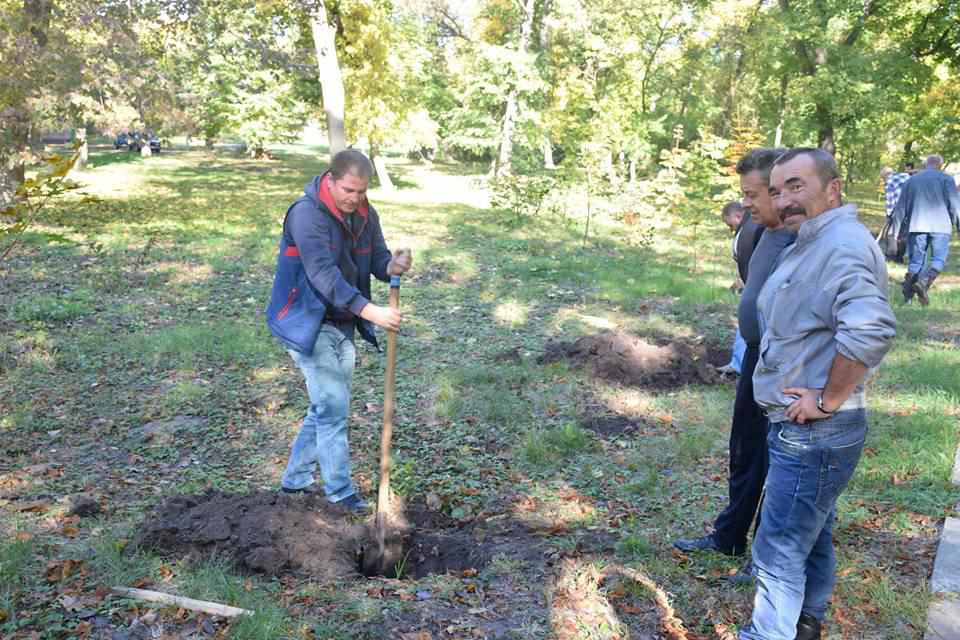 У Нових Санжарах заклали липову Алею миру