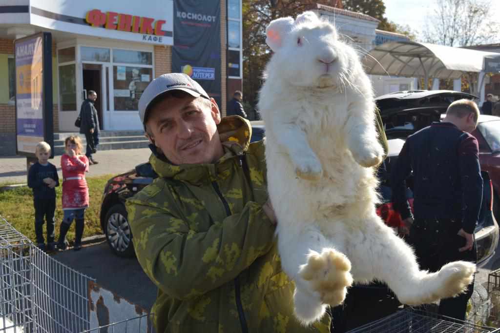 У Миргороді показували екзотичних птахів і тварин