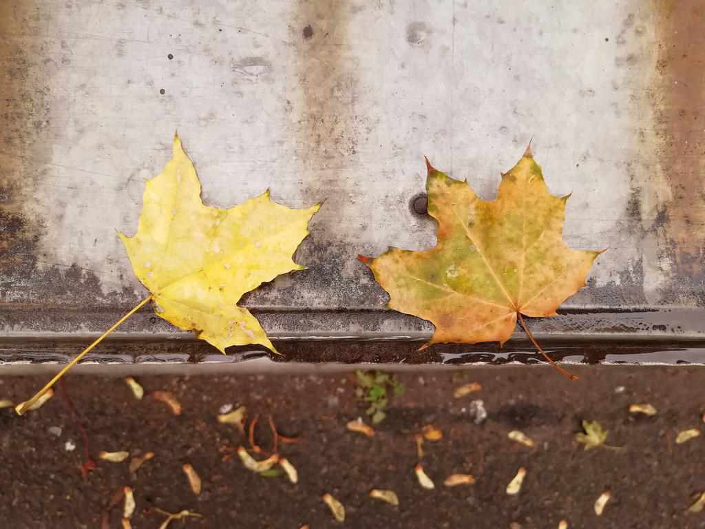 Осінь у Полтаві. ФОТО