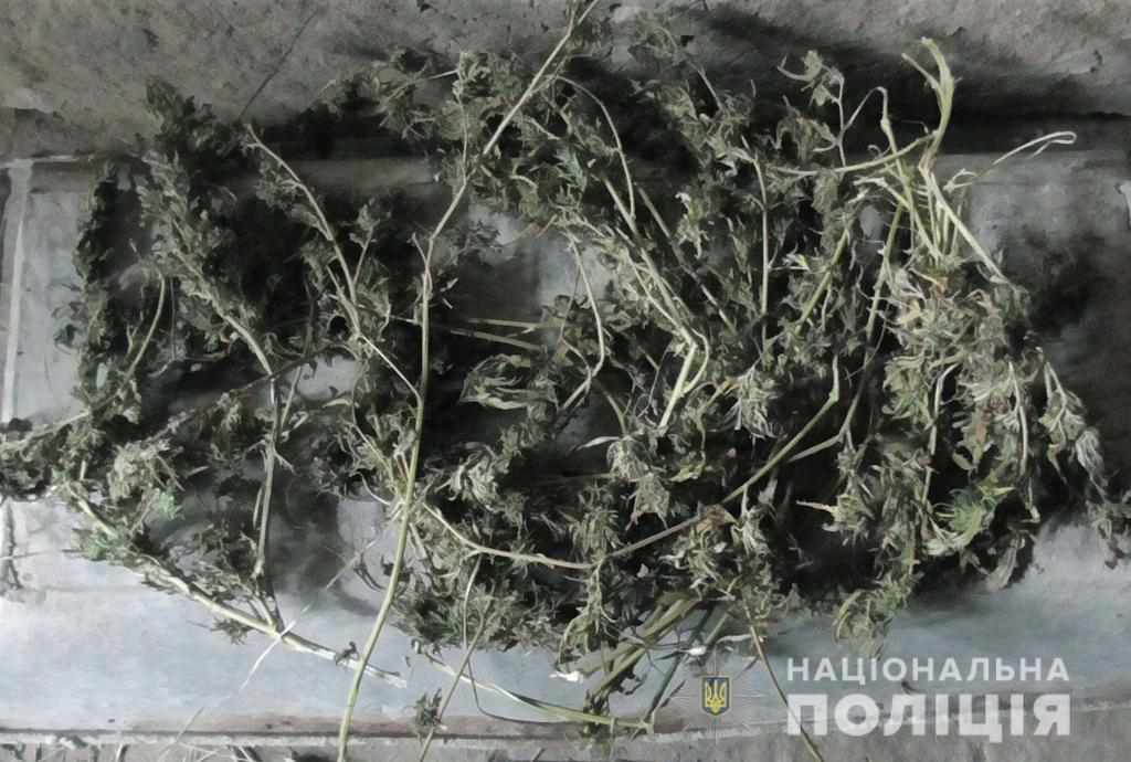 На Полтавщині правоохоронці здійснили кілька рейдів з вилучення наркотиків