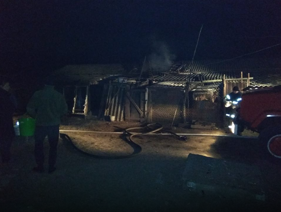 На Полтавщині жінка обпеклася, рятуючи з пожежі худобу