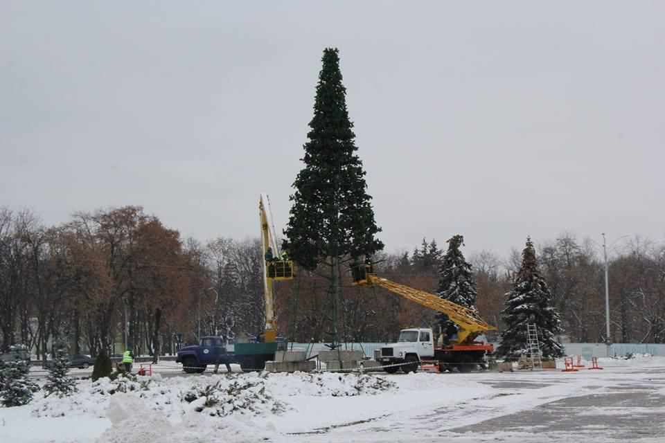 У Кременчуці вже встановлюють головну ялинку міста. ФОТО