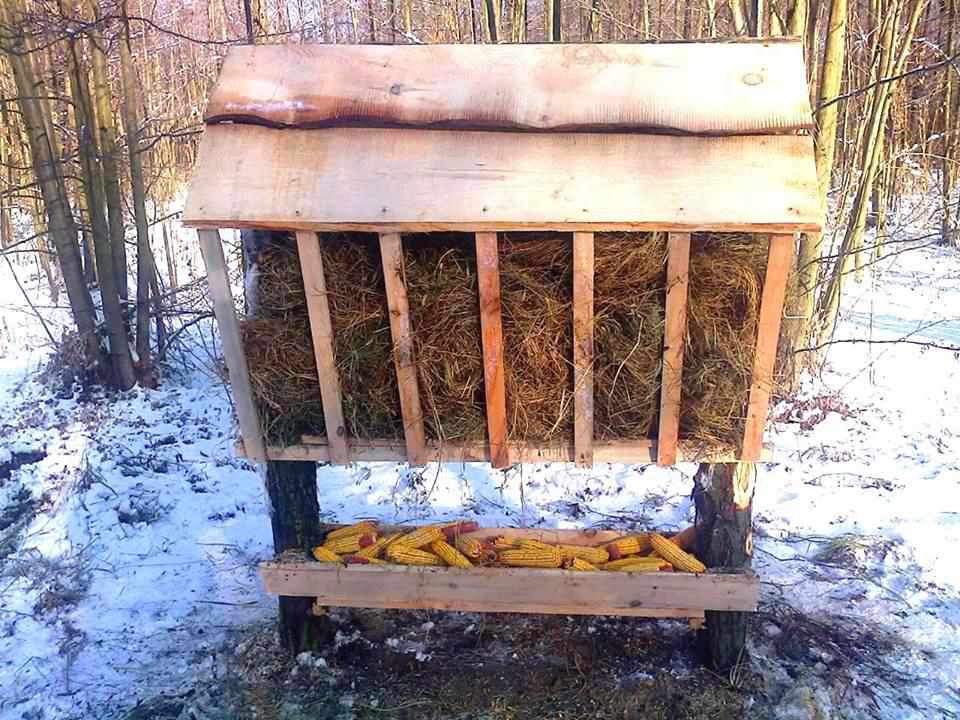 У природному парку на Полтавщині влаштували зимову їдальню для тварин