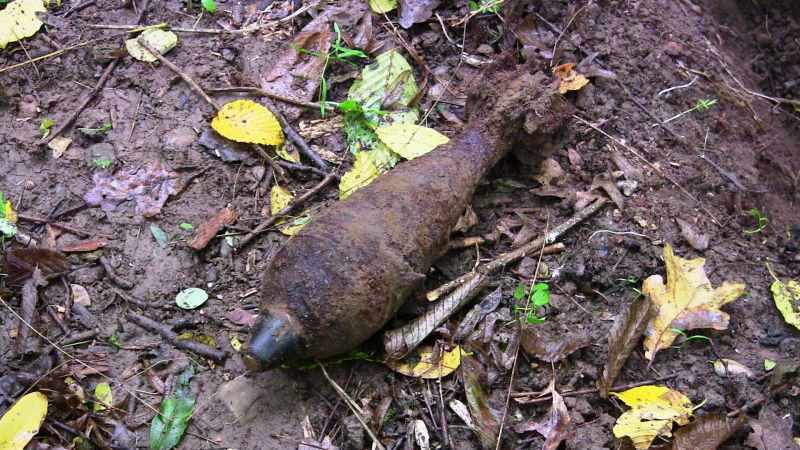 В Оржиці на приватних городах знайшли близько 150 мінометних мін різного калібру